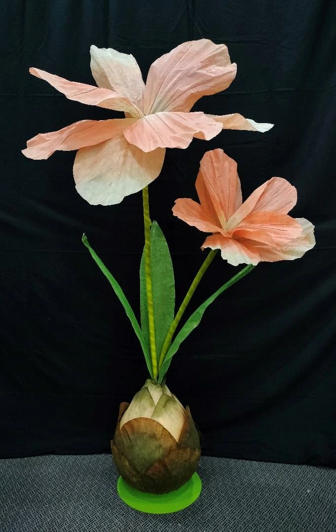 Organza Flower Coconut Design Base Big Flower x 2 150x90x60